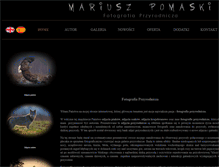 Tablet Screenshot of pomaski.pl